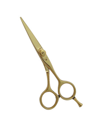 Professional Hair Cutting Scissor