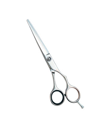 Professional Hair Cutting Scissor