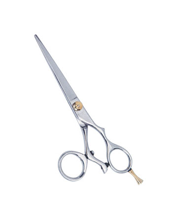 Professional Hair Cutting Scissor