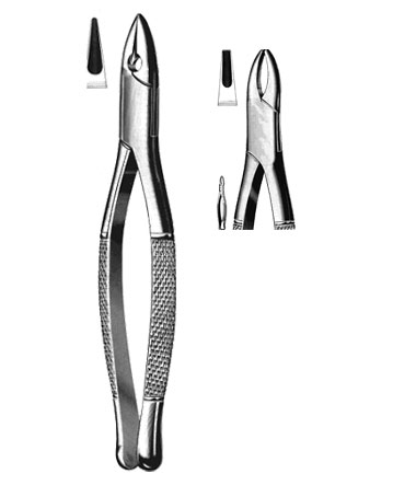 Extracting Forceps Amarican Pattern