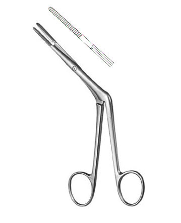 Rhinology